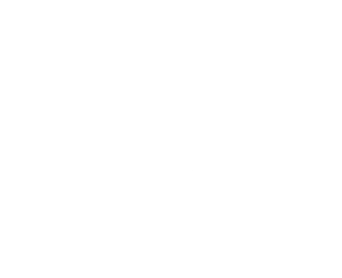velossa apparel